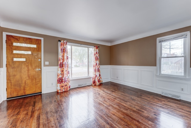 foyer entrance featuring dark wood-type flooring and a wealth of natural light