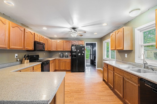 kitchen with black appliances, ceiling fan, sink, and light hardwood / wood-style flooring