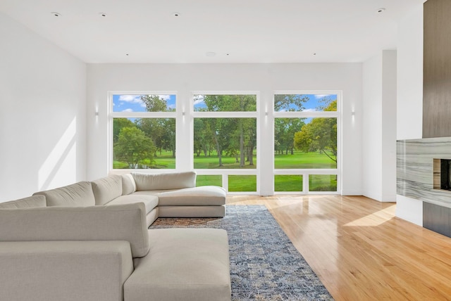 living room featuring wood-type flooring