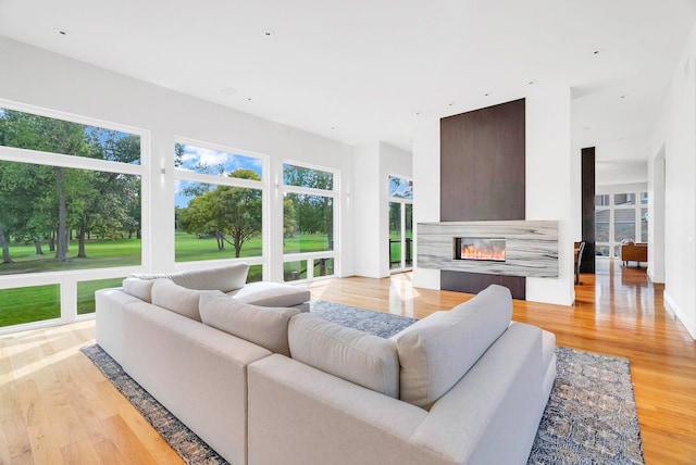 living room featuring light wood-type flooring