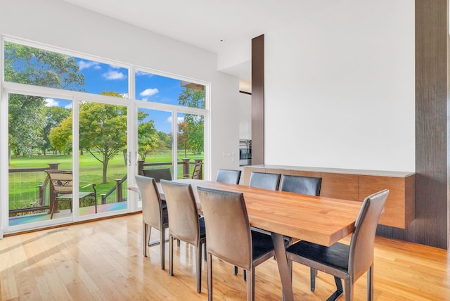 dining area featuring light hardwood / wood-style flooring and a healthy amount of sunlight