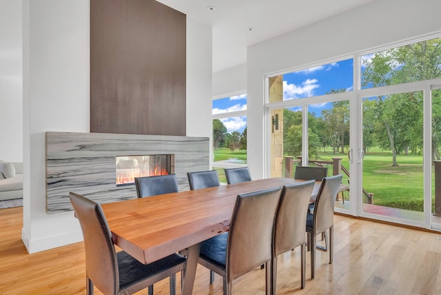 dining space with light hardwood / wood-style floors