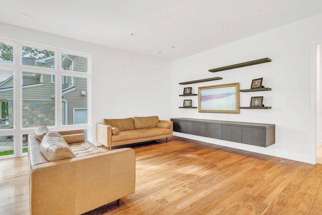 living room with a healthy amount of sunlight and light hardwood / wood-style floors