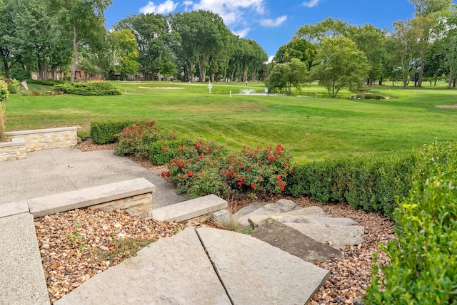 view of home's community with a yard