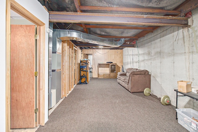 basement featuring carpet floors