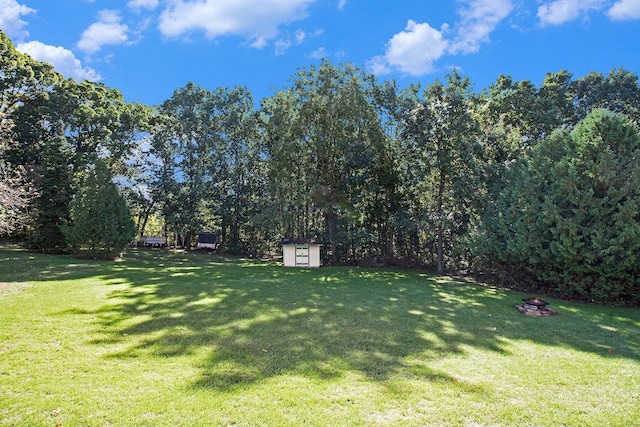 view of yard with a storage shed