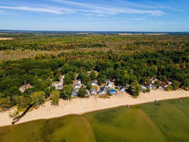 4028 E Michigan Ave, Au Gres, MI 48703 - bird's eye view of a forest and a nearby body of water