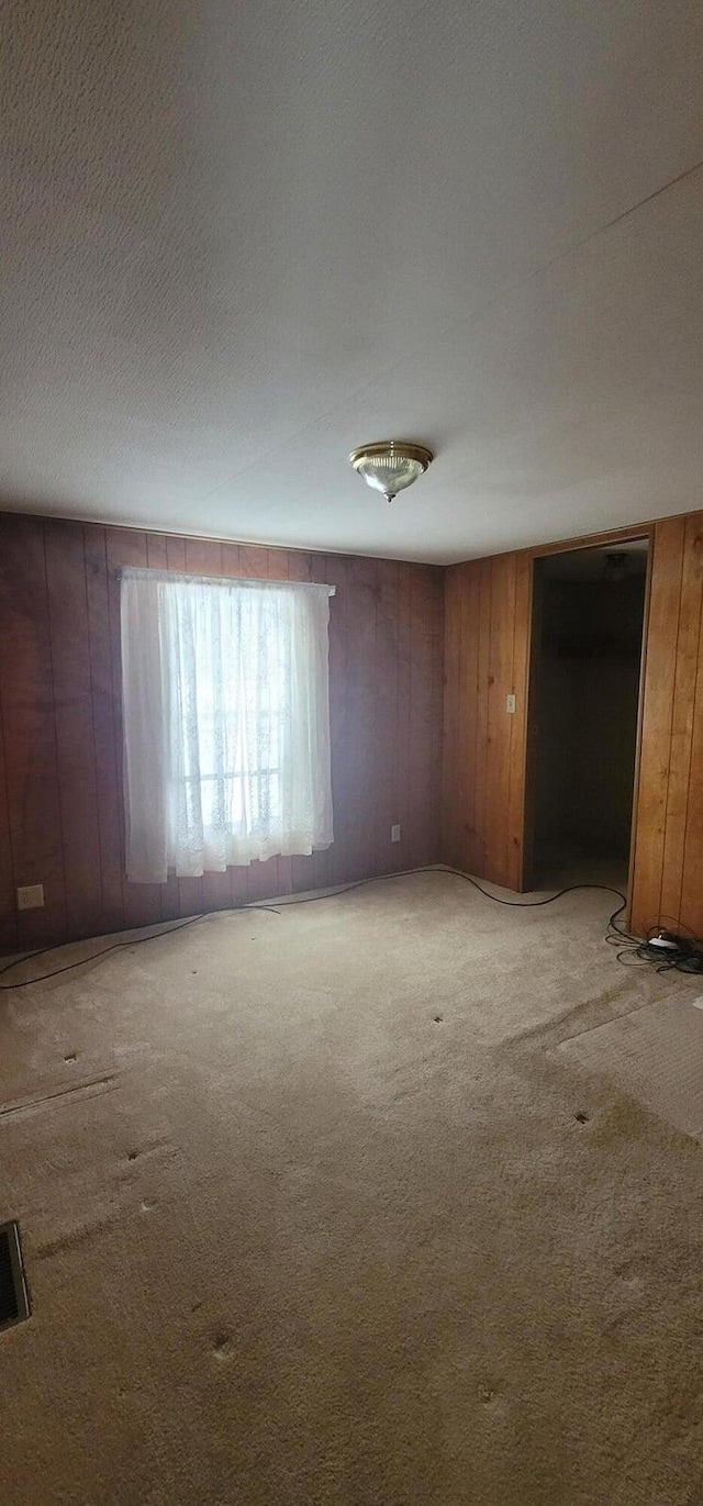 spare room with carpet floors, a textured ceiling, and wooden walls