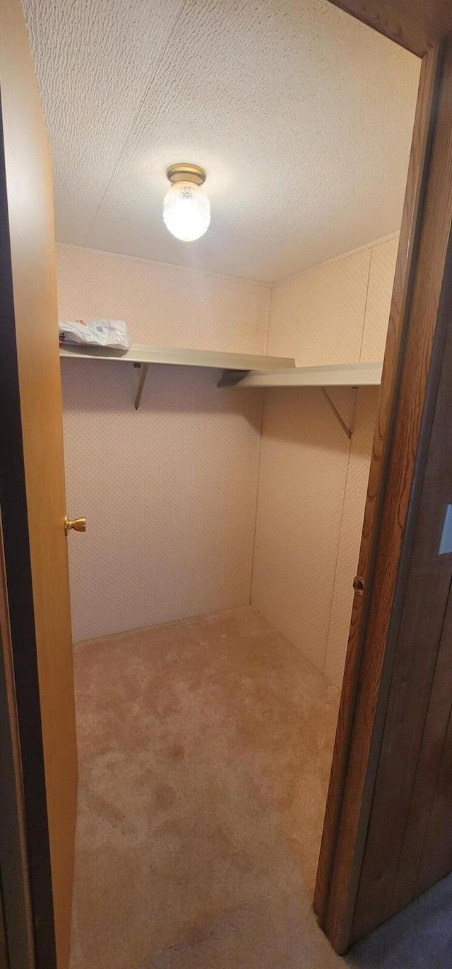 walk in closet with carpet