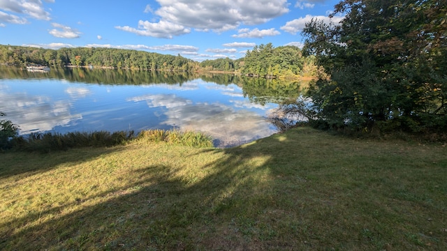 view of water feature