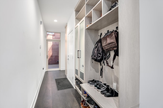 mudroom with dark hardwood / wood-style flooring