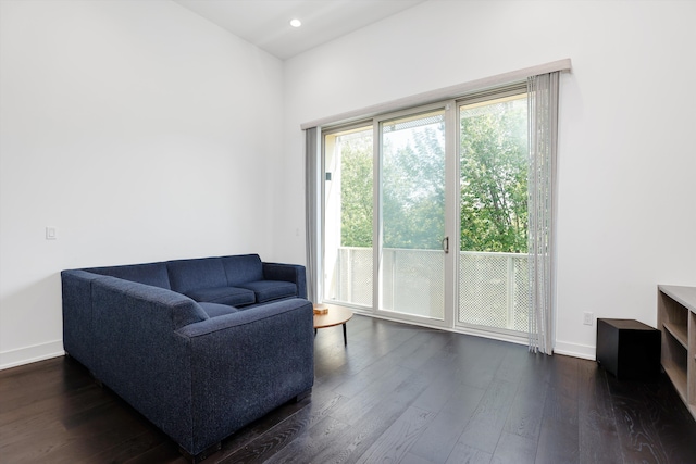 sitting room with dark wood-type flooring