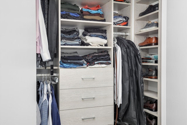 view of spacious closet