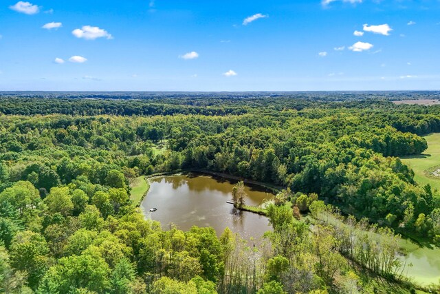 2488 Wilson St, Hillsdale, MI 49242 - bird's eye view of a heavily wooded area and a nearby body of water