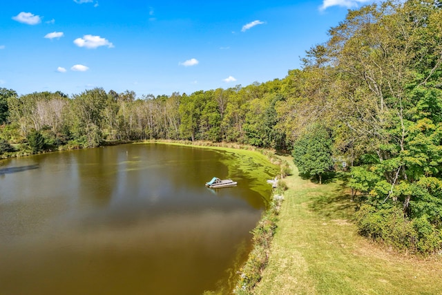 property view of water