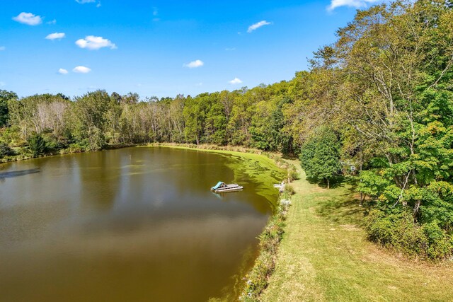 2488 Wilson St, Hillsdale, MI 49242 - water view featuring a heavily wooded area