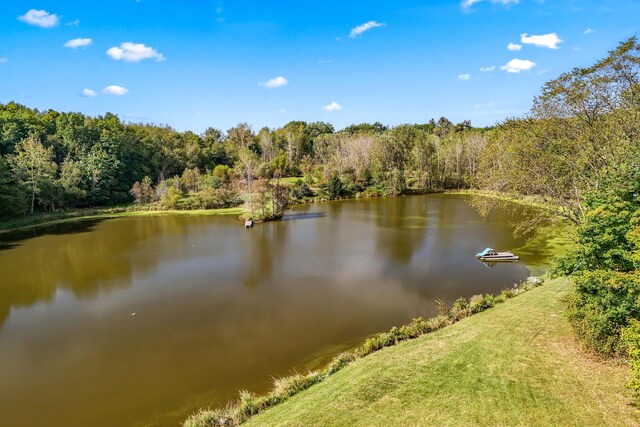 2488 Wilson St, Hillsdale, MI 49242 - water view with a forest