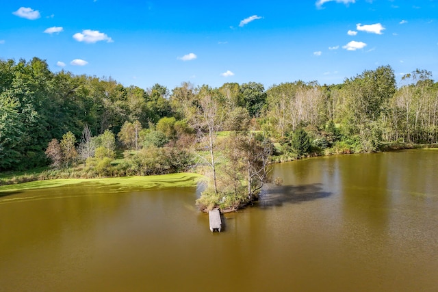 property view of water