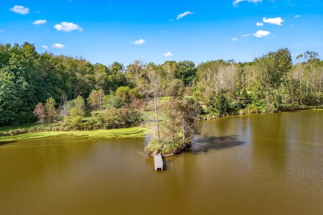 2488 Wilson St, Hillsdale, MI 49242 - water view with a forest
