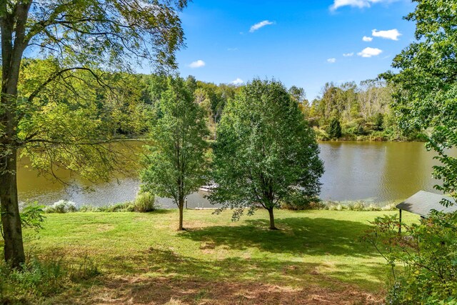 2488 Wilson St, Hillsdale, MI 49242 - water view