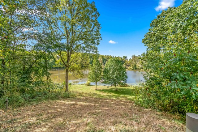 2488 Wilson St, Hillsdale, MI 49242 - water view