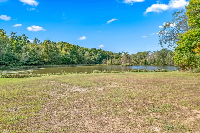 2488 Wilson St, Hillsdale, MI 49242 - view of green lawn featuring a forest view and a water view