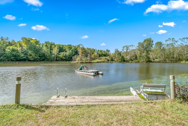 dock area with a water view