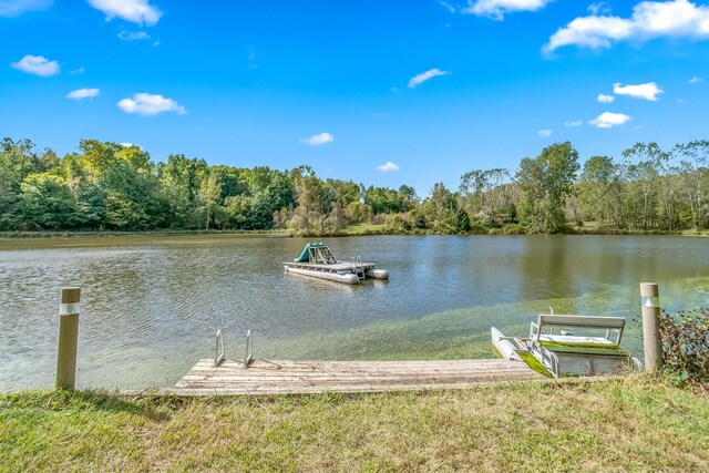 2488 Wilson St, Hillsdale, MI 49242 - dock area with a water view and a view of trees