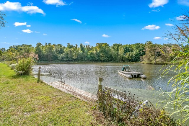 2488 Wilson St, Hillsdale, MI 49242 - water view featuring a heavily wooded area