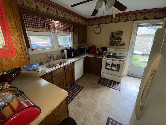 kitchen featuring ceiling fan, plenty of natural light, white appliances, and sink