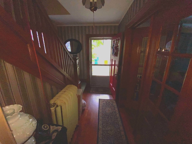 entryway featuring radiator and dark hardwood / wood-style floors