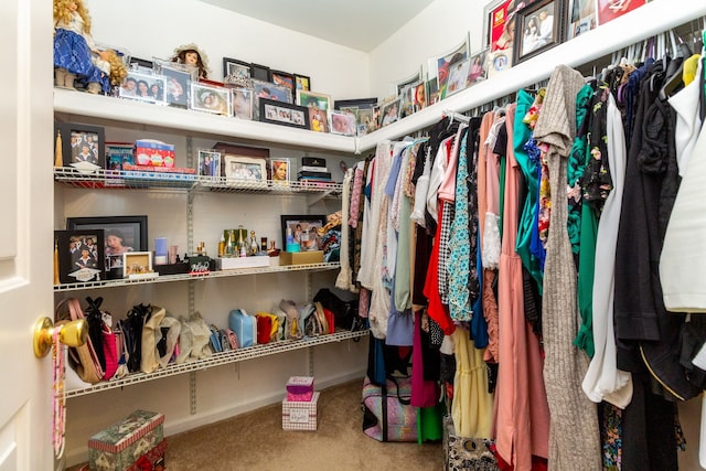 spacious closet with carpet