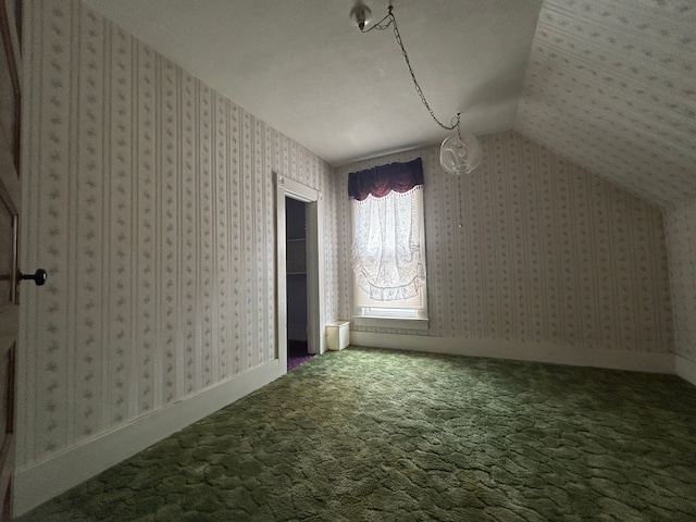 bonus room featuring carpet