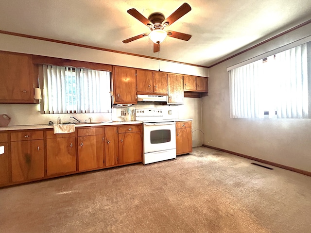 kitchen featuring sink, crown molding, plenty of natural light, and white electric stove