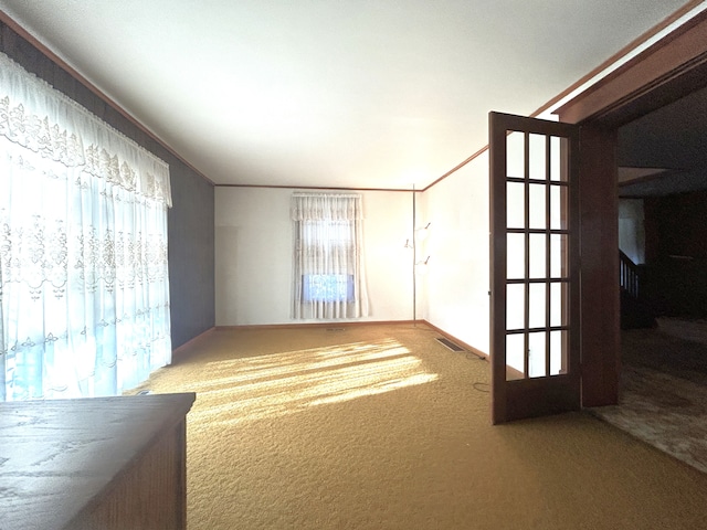 spare room with carpet floors and crown molding