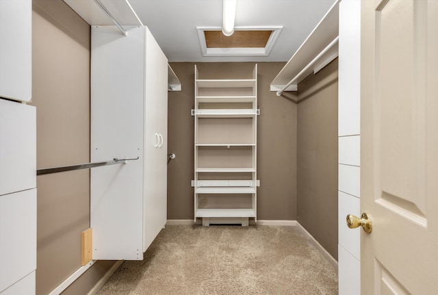 walk in closet with light carpet