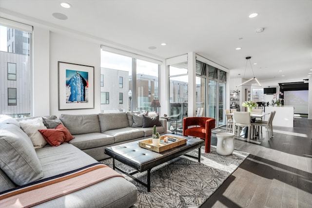 living room featuring hardwood / wood-style flooring and expansive windows