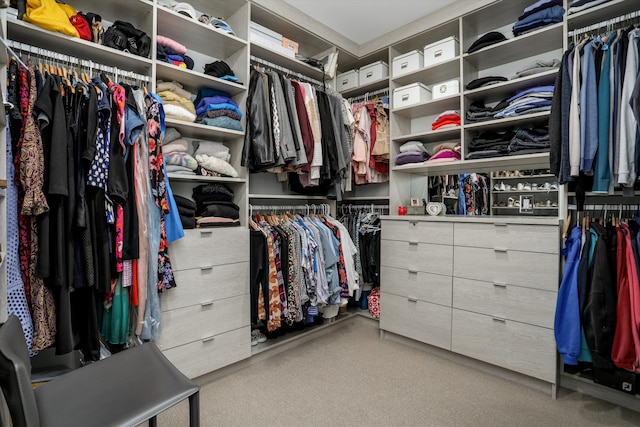 walk in closet featuring light colored carpet