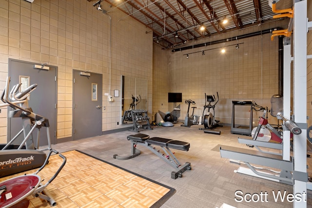 workout area featuring a high ceiling