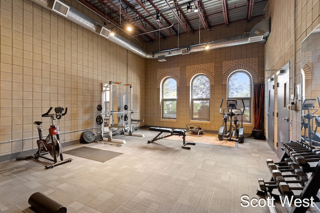 gym with carpet and a towering ceiling