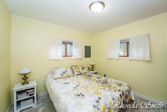 11432 Lakeshore Dr, Lakeview, MI 48850 - bedroom featuring carpet floors, crown molding, baseboards, and electric panel