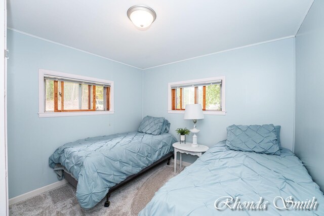 11432 Lakeshore Dr, Lakeview, MI 48850 - carpeted bedroom featuring multiple windows, crown molding, and baseboards