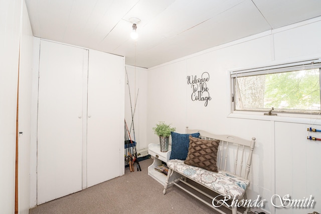 living area with carpet flooring