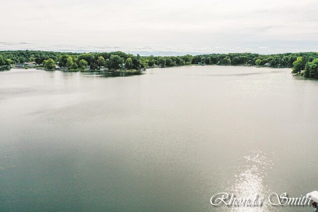 11432 Lakeshore Dr, Lakeview, MI 48850 - water view featuring a heavily wooded area