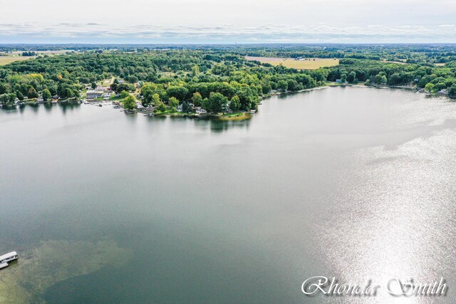 11432 Lakeshore Dr, Lakeview, MI 48850 - bird's eye view of a nearby body of water