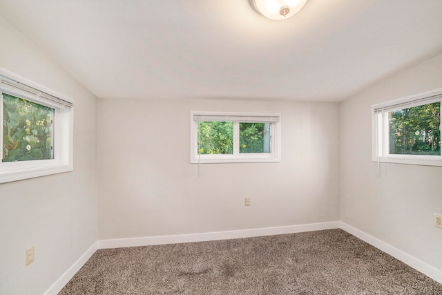 spare room with carpet and plenty of natural light