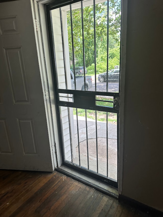 doorway featuring dark hardwood / wood-style flooring