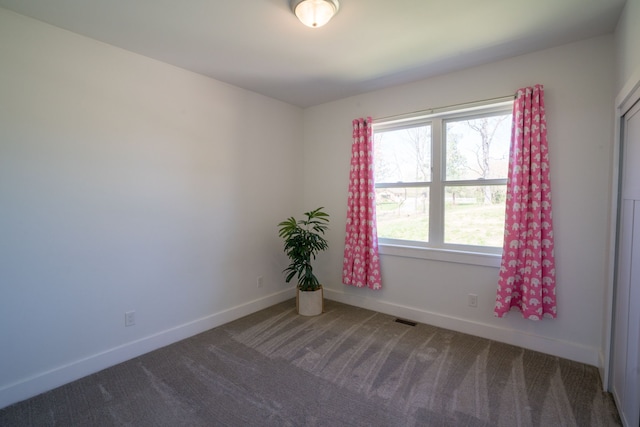 spare room with carpet floors