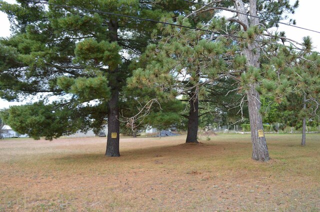 Spruce St, Kalkaska, MI 49646