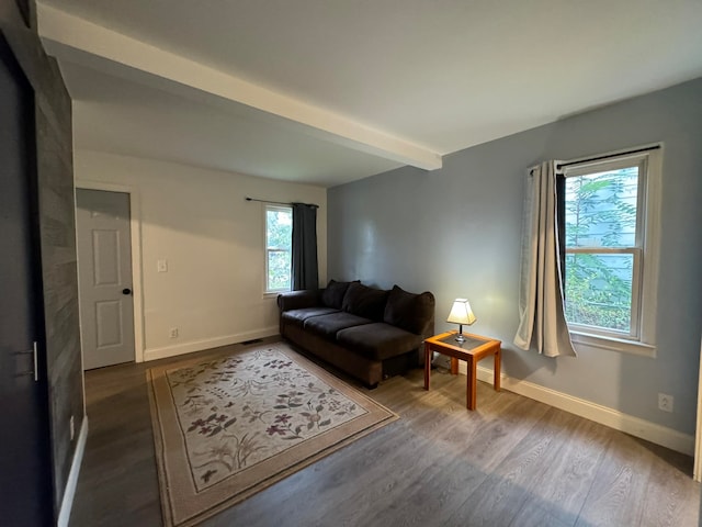 living room featuring hardwood / wood-style flooring and beamed ceiling